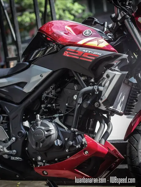Yamaha MT25 red (4)