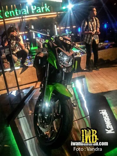 Kawasaki Z250SL