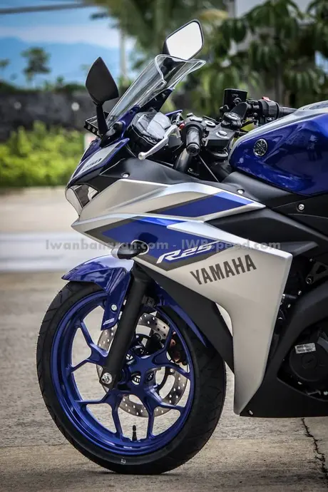 Yamaha_R25_ABS (13)