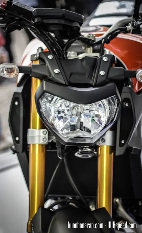 Yamaha MT 09 (5)