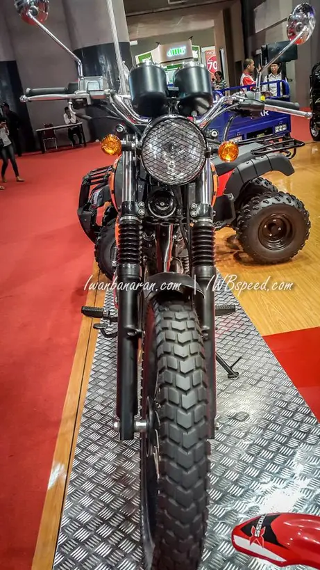Viar Scrambler 400 (19)
