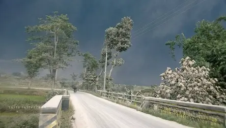 1957468_10201493919331884_1901197840_n