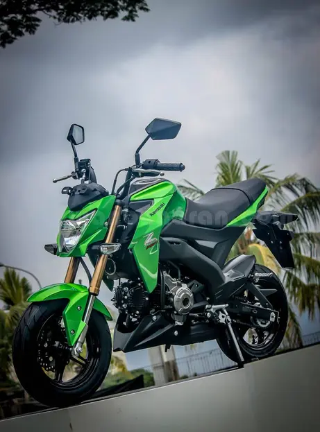 kawasaki Z125 (26)