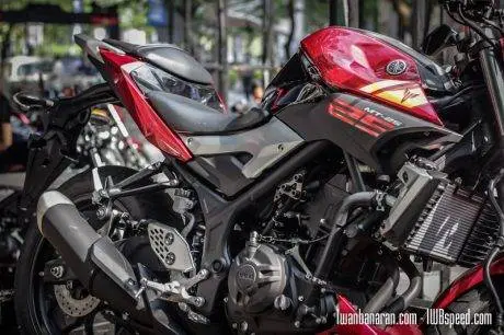 Yamaha MT25 red (5)