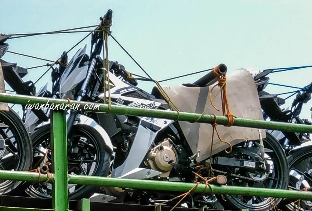 Spyshot warna baru Suzuki Satria versi 2018, woww putih cak