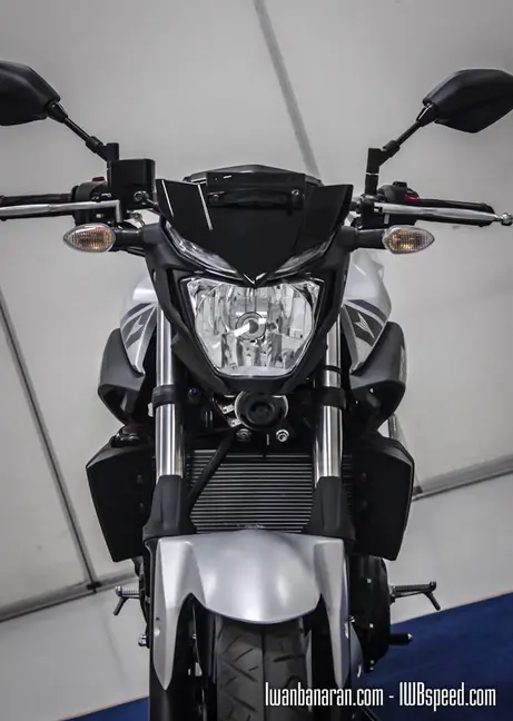 Yamaha MT25 (31)
