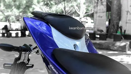 Yamaha YZF_R15 (36)