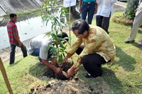 AHM getol terlibat dalam program penghijauan….