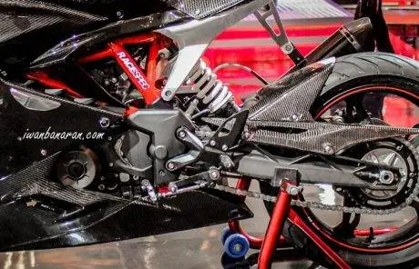 tvs-akula-310-10