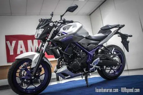 Yamaha MT25 (25)