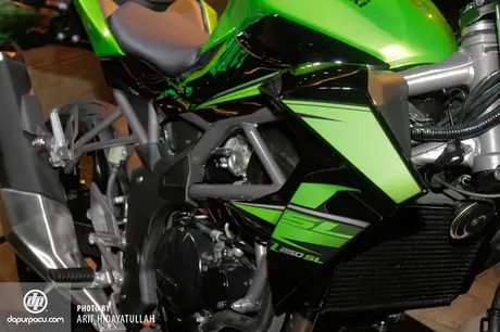 Kawasaki_Z_250_SL_008