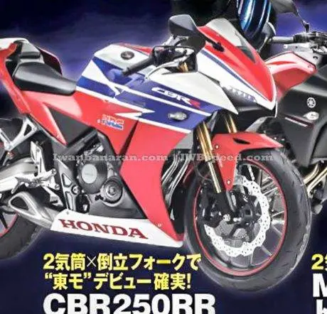CBR250RR (1)