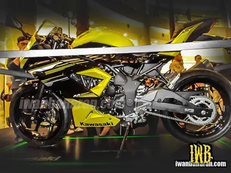 Ninja 250RR Mono