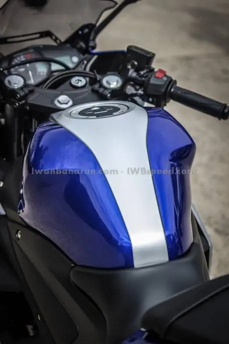 Yamaha_R25_ABS (5)