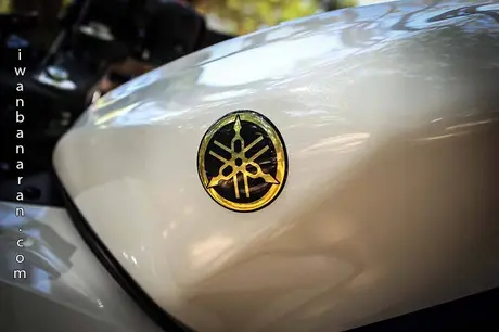 Yamaha YZF_R15 (20)